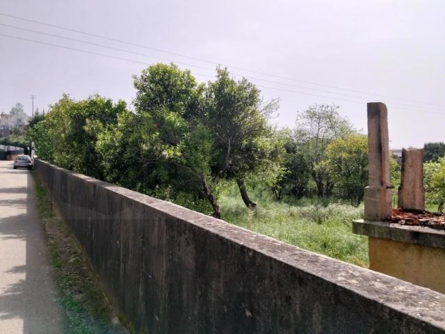 Terreno venda em Assilhó, Albergaria-a-velha