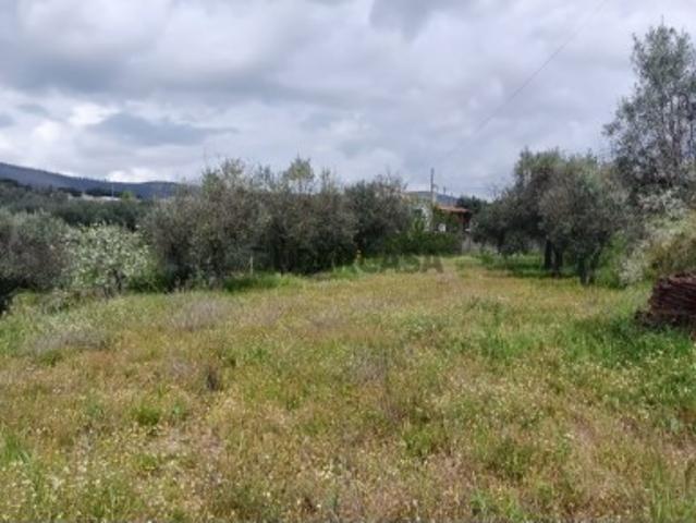 Terreno venda em Castelo Branco, Aldeia Nova Do Cabo