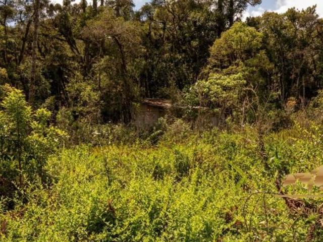 Terreno venda em Região Imediata de Taubaté-Pindamonhangaba, Região Metropolitana do Vale do Paraíba e Litoral Norte