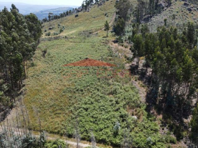 Terreno venda em Abragão, Porto