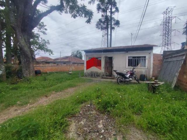 Terreno venda em Roseira de São Sebastião, São José dos Pinhais