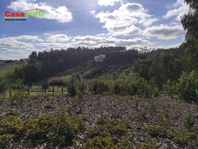 Terreno venda em Urbanização da Encosta, Leiria