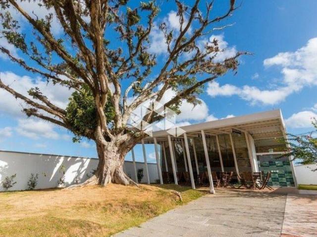 Terreno venda em Região Geográfica Imediata de Porto Alegre, Região Metropolitana de Porto Alegre