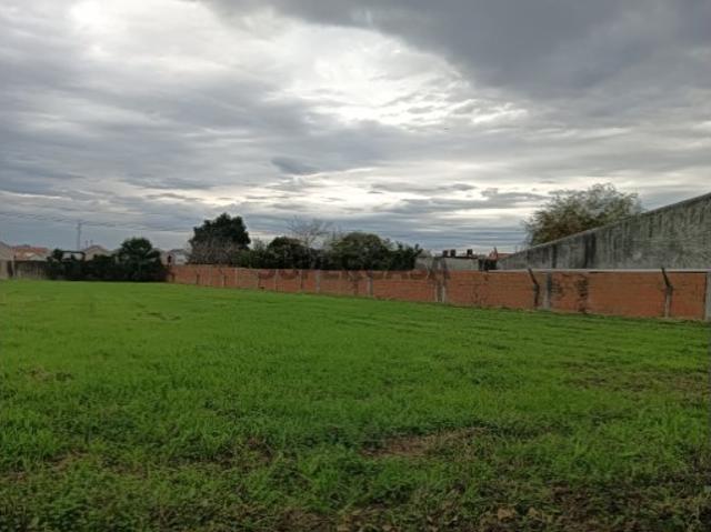 Terreno venda em Estarreja, Aveiro