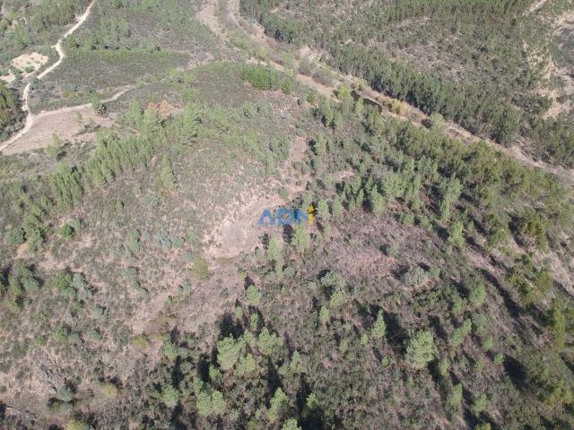 Terreno venda em Castelo Branco