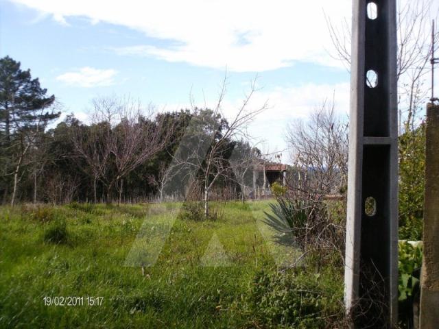 Terreno venda em Águeda, Aveiro