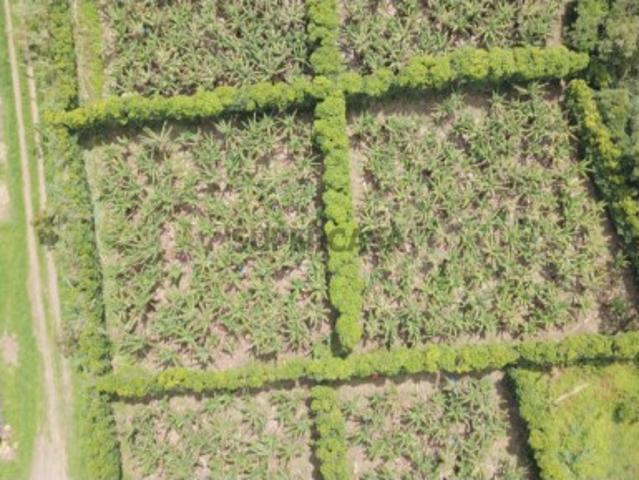 Terreno venda em Açores, Vila Franca Do Campo