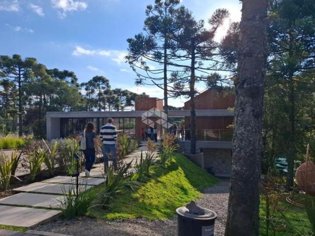 Terreno venda em Região Geográfica Imediata de Caxias do Sul, São Francisco de Paula