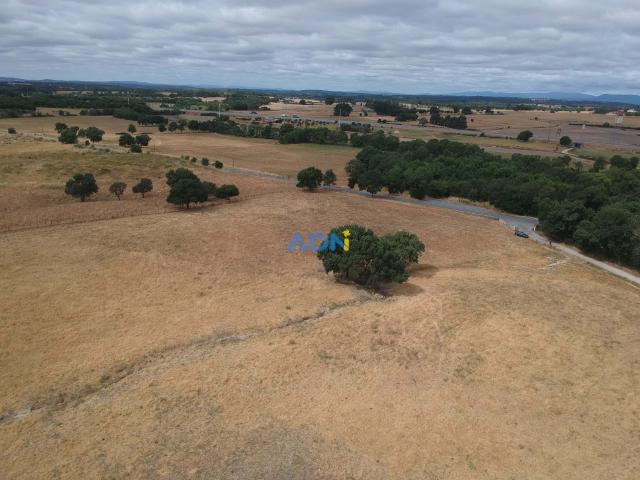 Terreno venda em Castelo Branco