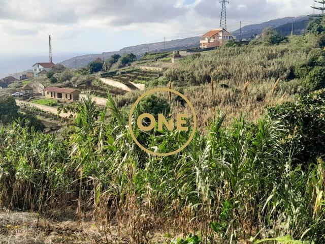 Terreno venda em Pico da Cruz, Ribeira Brava