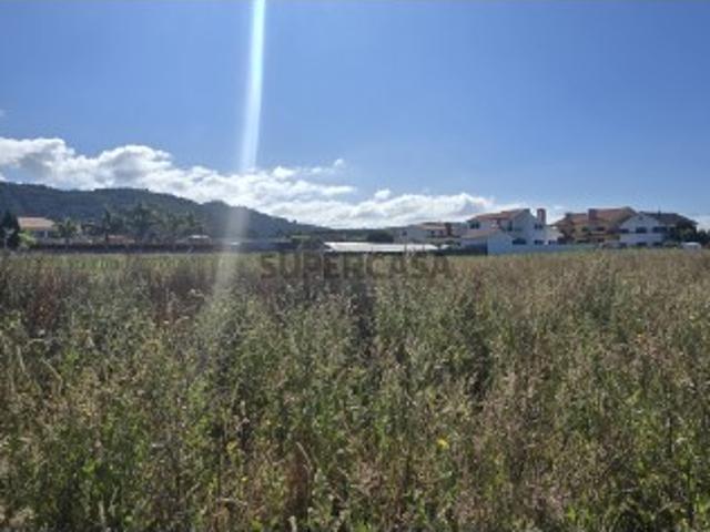 Terreno venda em Esposende
