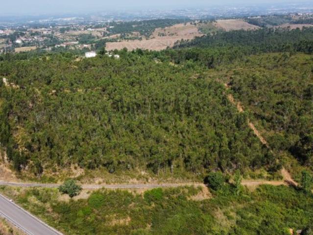 Terreno venda em Tomar, São Pedro de Tomar Terreno venda em Tomar, São Pedro de Tomar