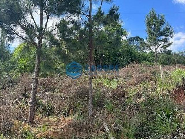 Terreno venda em Região Geográfica Imediata de Caxias do Sul, Caxias do Sul