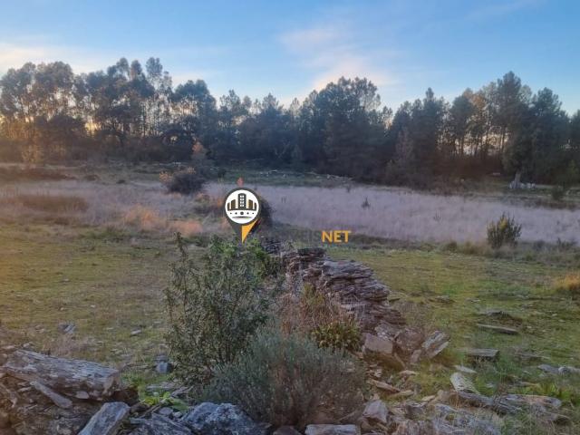 Terreno venda em Benquerenças, Castelo Branco