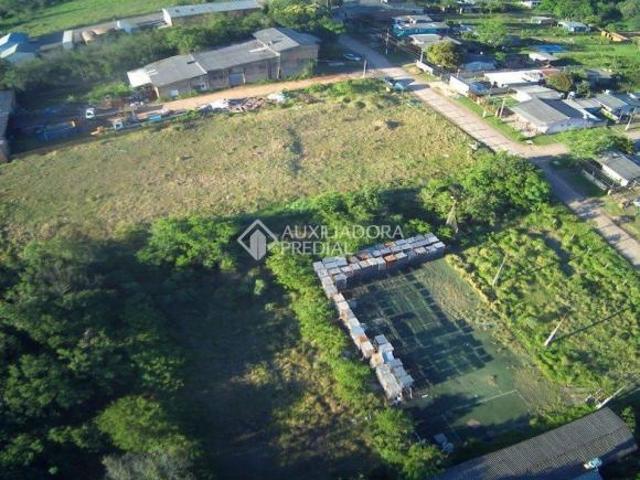 Terreno venda em Vila Angélica, Gravataí