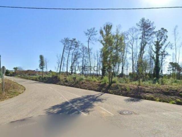 Terreno venda em Valongo do Vouga, Águeda