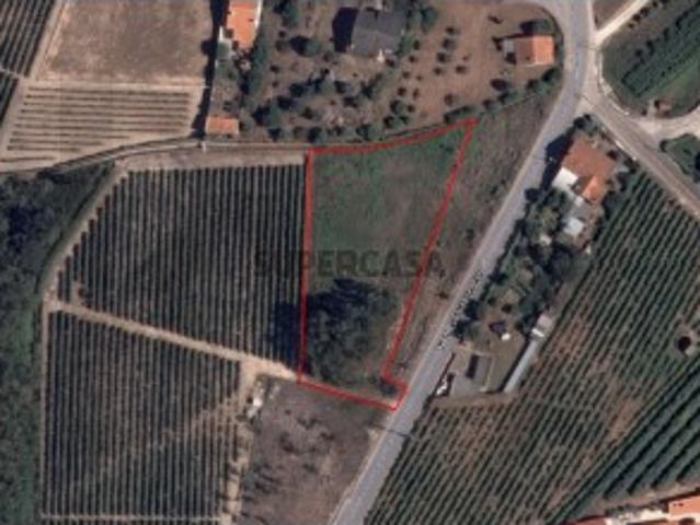 Terreno venda em Cantanhede, Coimbra