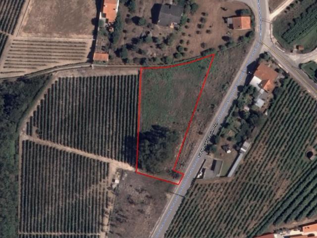 Terreno venda em Cantanhede, Coimbra