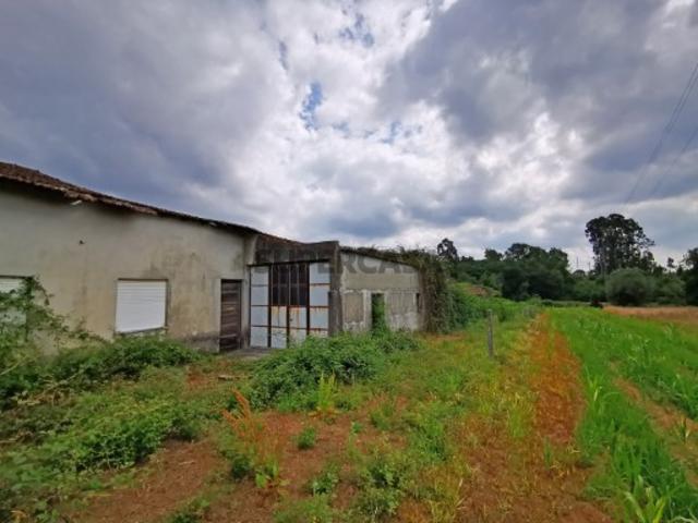 Terreno venda em Abrigueiro, Viana Do Castelo
