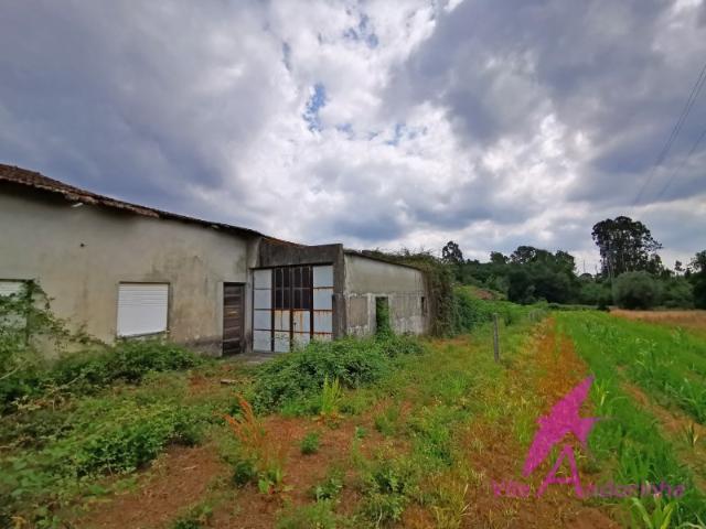 Terreno venda em Abrigueiro, Viana Do Castelo