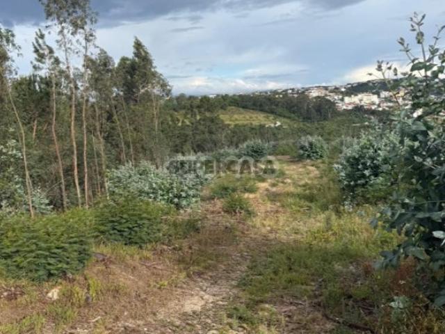 Terreno venda em Coimbrã, Ribeira De Frades