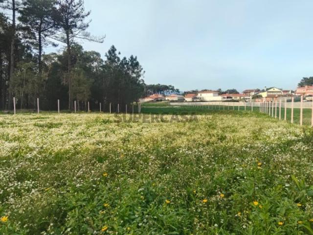 Terreno venda em São Nicolau, Vila Real