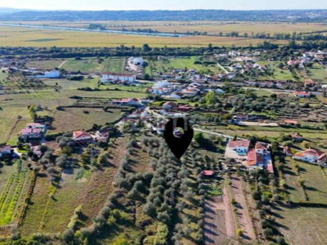 Terreno venda em Santo Varão, Montemor-o-Velho