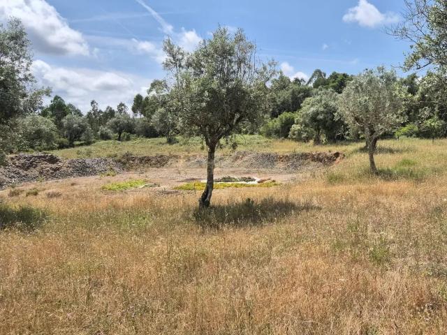 Terreno venda em Soure, Coimbra