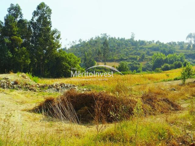 Terreno venda em Felgueiras, Porto