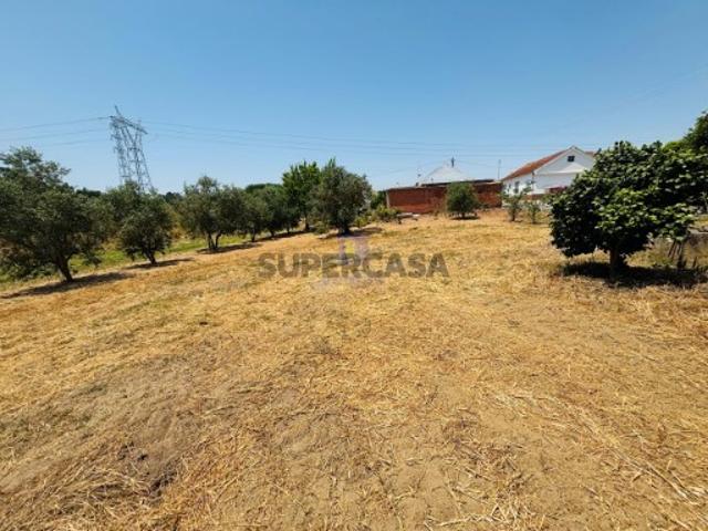 Terreno venda em Azambuja, Alcoentre