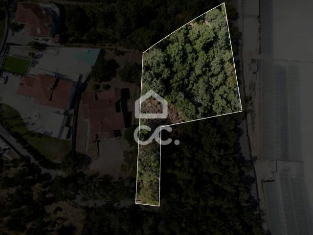 Terreno venda em Coimbrã, Coimbra