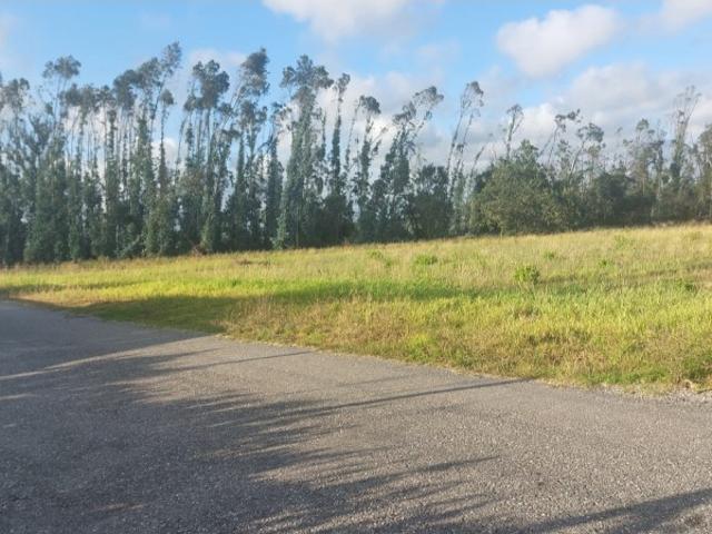 Terreno venda em Caravela, Leiria