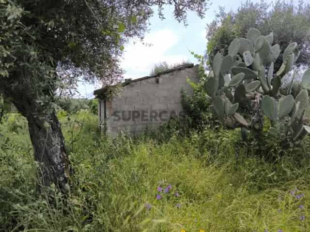 Casa venda em Castelo Branco