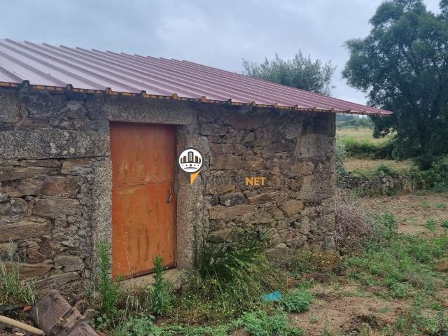 Terreno venda em Castelo Branco