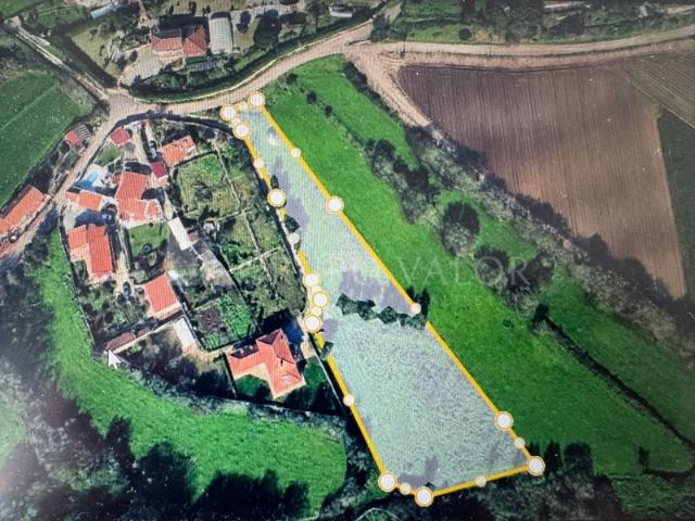 Terreno venda em Machado, Sintra