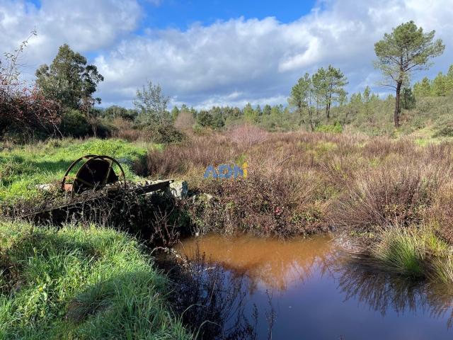 Terreno venda em Castelo Branco
