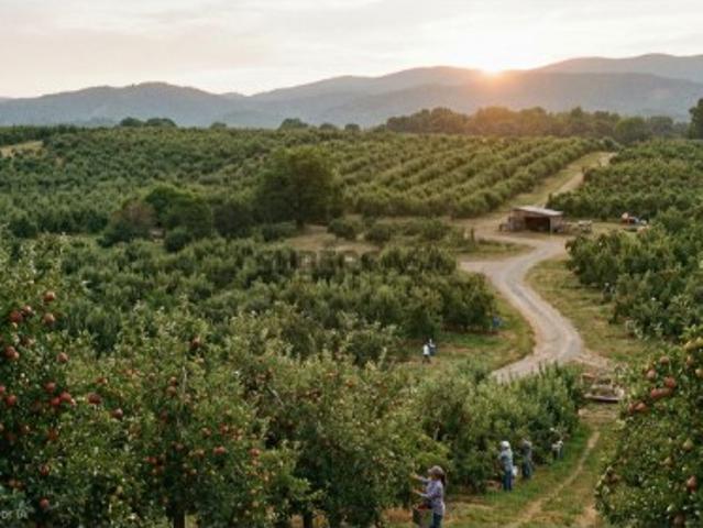 Terreno venda em Setúbal