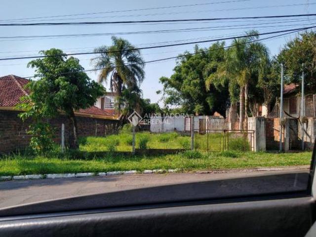 Terreno venda em Novo Hamburgo