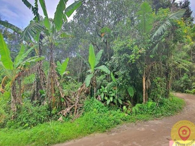 Terreno venda em Boracéia, São Sebastião