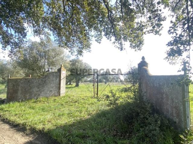Casa venda em Santarém