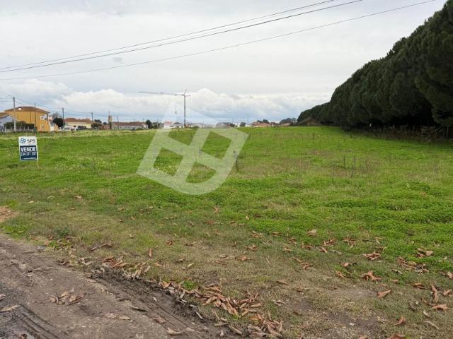 Terreno venda em Ílhavo, Aveiro