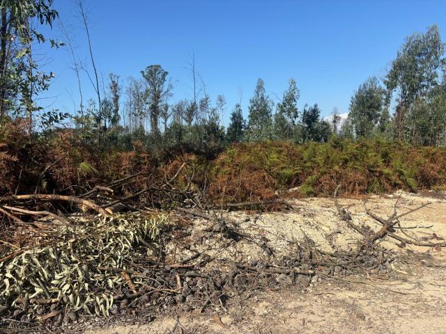 Terreno venda em Cacia, Aveiro