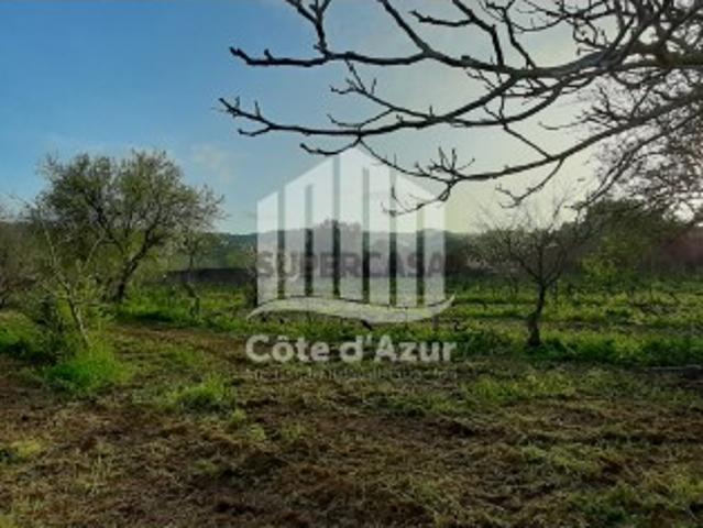 Terreno venda em Palmela, Setúbal