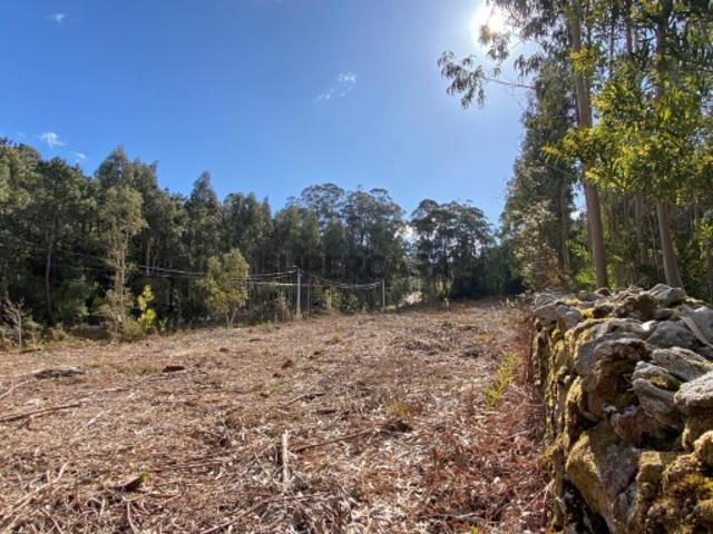 Terreno venda em Arga De Baixo, Viana Do Castelo