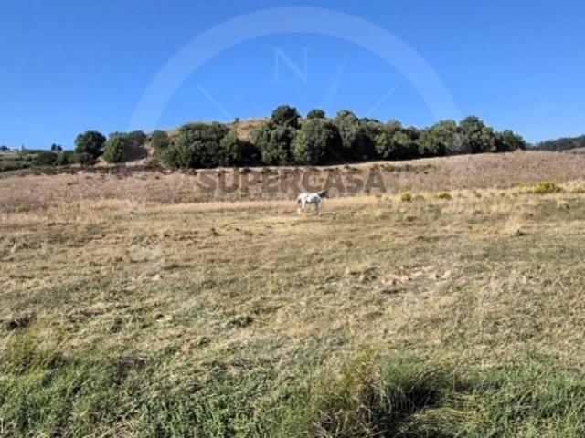 Terreno venda em Torres Vedras, Lisboa