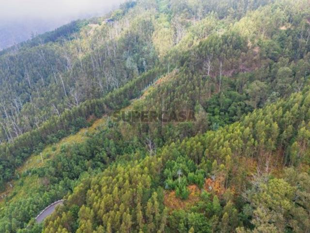 Terreno venda em Terreiro da Luta, Funchal