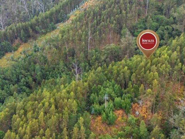 Terreno venda em Luso-brasileira, Funchal