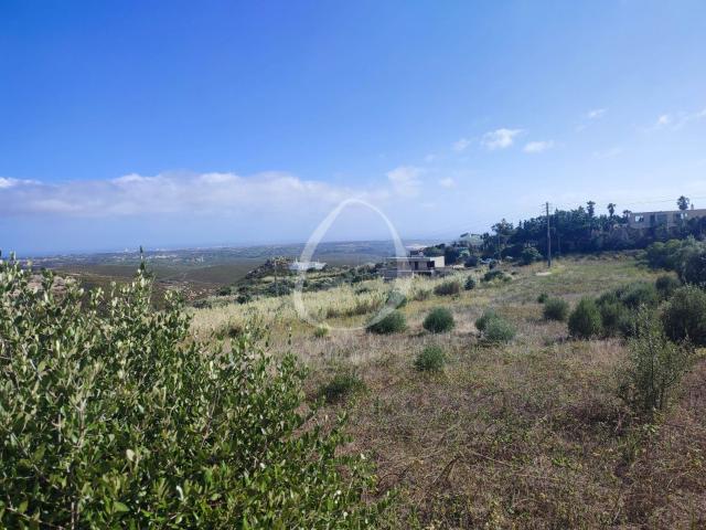 Terreno venda em Figueira do Guincho, Cascais