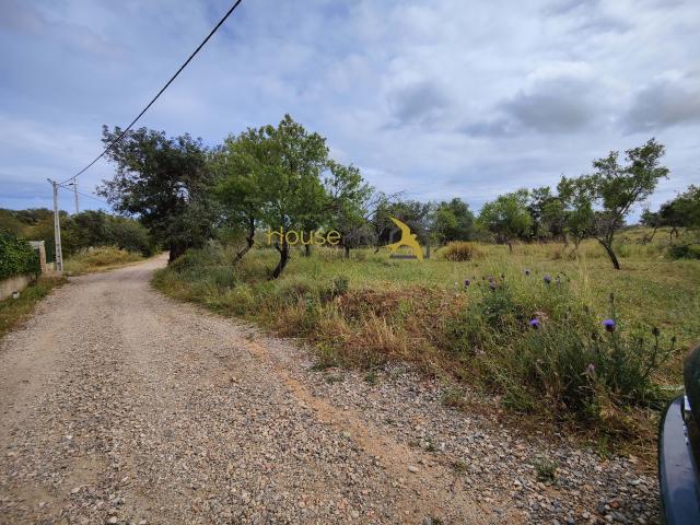 Terreno venda em Areia, Faro