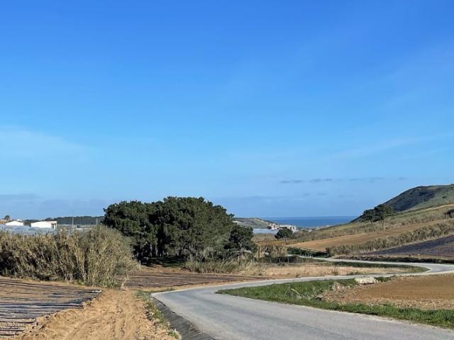 Terreno venda em Torres Vedras, Lisboa